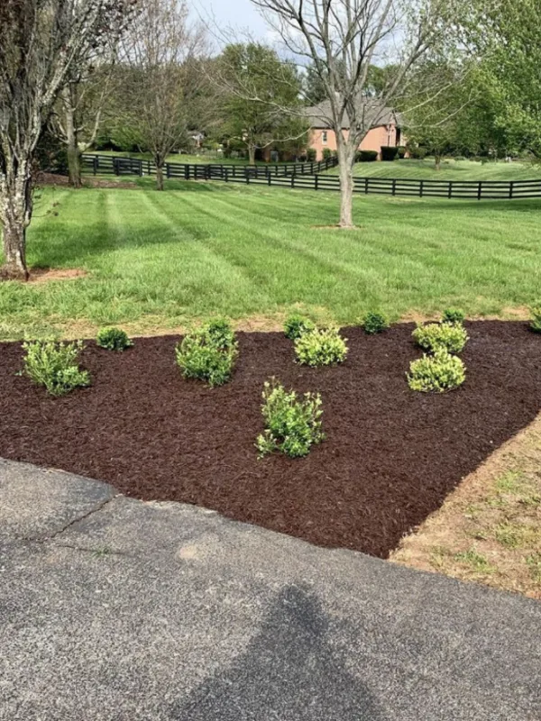 Hardscape project photo from Zuri Landscape LLC